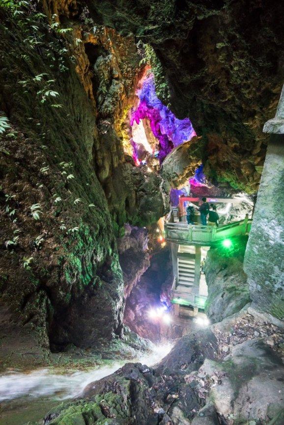 地方新闻精选｜浙江发现一例H3N2与H10N5混合感染病例 山西晋中一公职人员索贿被免职
